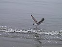 IMG_0081